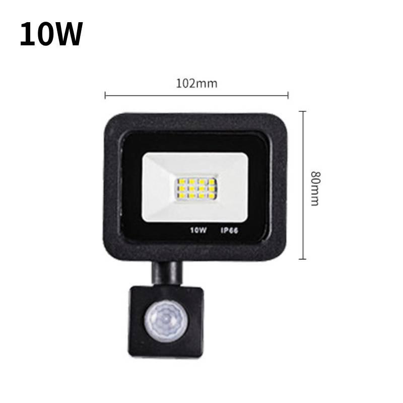 Motion Sensor