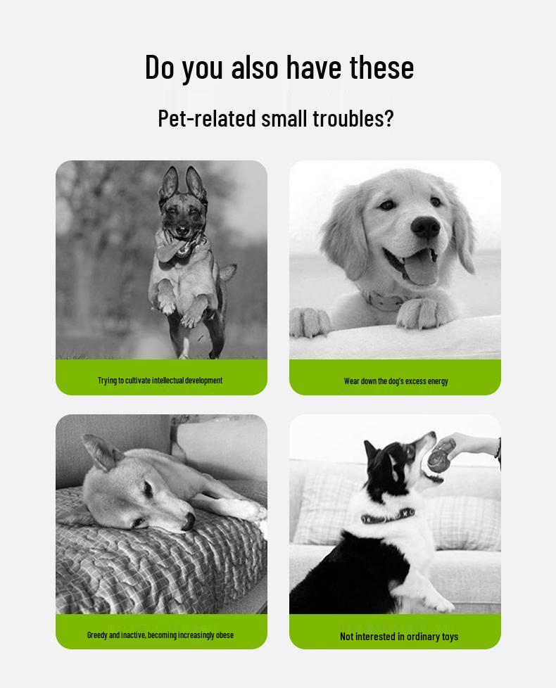 Pet Tennis Ball Launcher: Outdoor Elastic Automatic Throwing Machine for Dogs