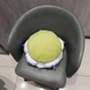 Korean-Style Lotus Water Lily Plush Toy - Succulent Good Luck Home Back Cushion