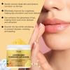 Hoygi Ginger Turmeric Lemon Lip Scrub Nourishing Hydrating Exfoliating Balm 100g For Soft Moist Lips