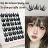 Friendship Bear Glue-Free Natural False Eyelashes: Six-Row, Curled, Segmented for Beginners