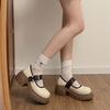 French British style shallow mouth Mary Jane single shoes women's 2025 spring and summer new models with skirts, small leather shoes, platform and