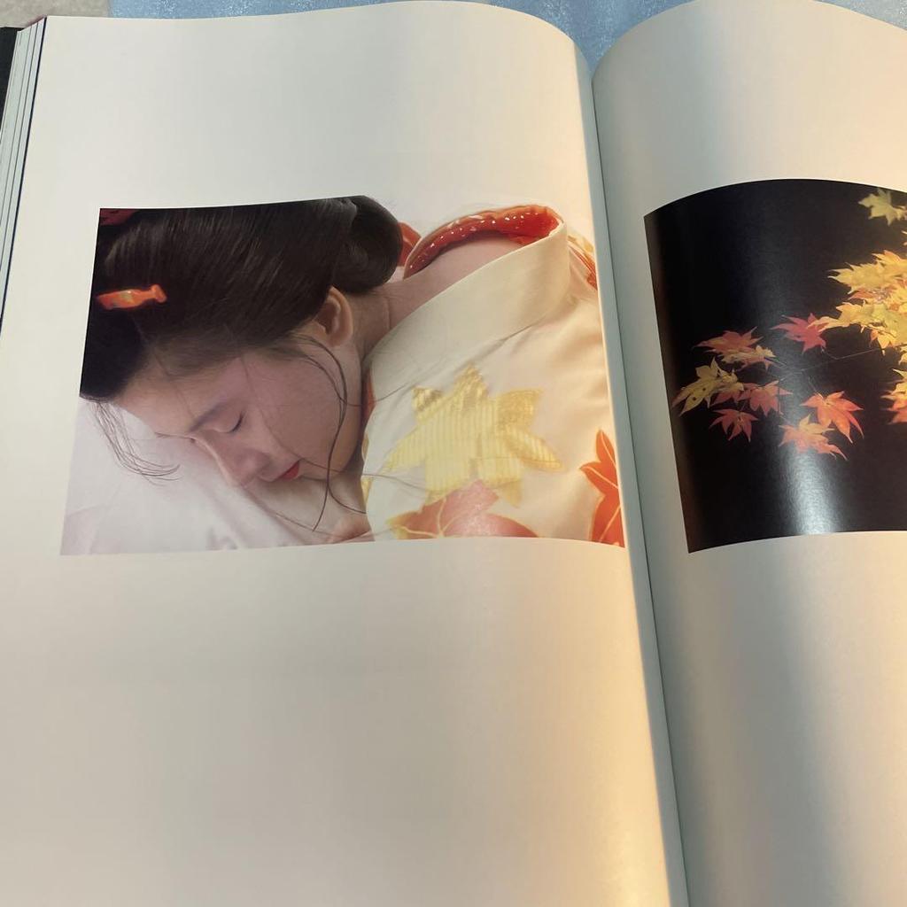 [USED] Ukiyo-e Kuzushi Collection: A Collection of Hoshino Komaro's Works