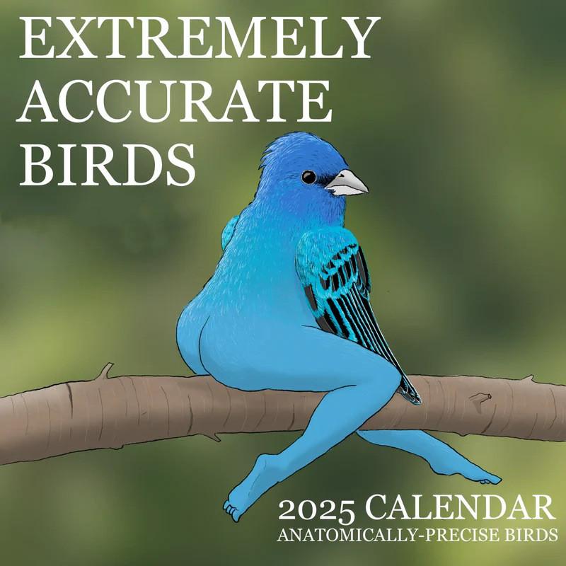 2025 Of Calendar Extremely Accurate Birds Stylish Simple Home Decoration Bedroom
