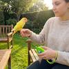 Portable Bird Leash Retractable Flight Leash 20ft Lightweight Parrot Outdoor Flying Training Rope with Leg Rings Anti‑Escape Steel Wire Core for