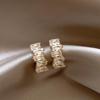 Female Fashion Light Luxury Earrings