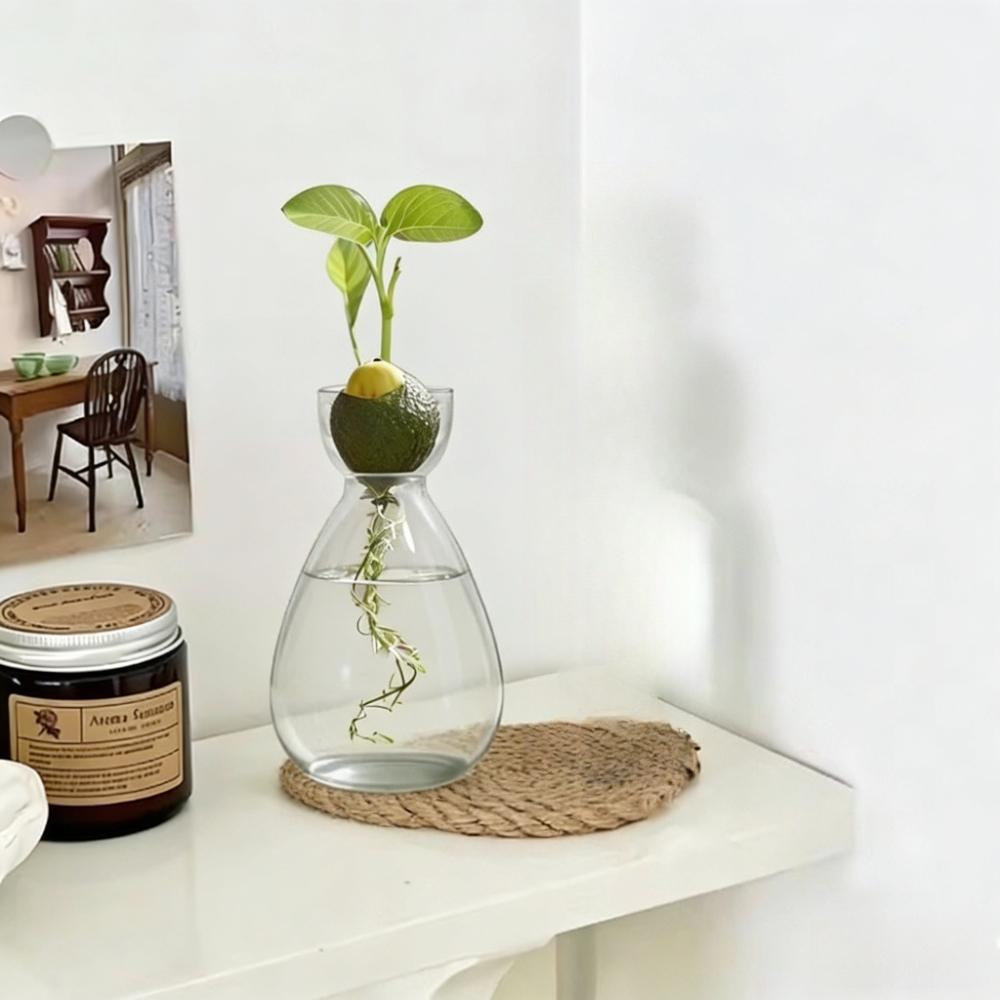 Creative Avocado Hydroponic Vase Simple Transparent Seed Starter Vase Home Desktop Decoration Ornament Gardening Lovers