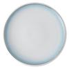 Elegant Ceramic Dinner Plate