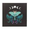 Something Different Leinwand Luna Moth Light Up Canvas