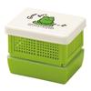 Fukui Craft Bento Box, Made In Japan, Sandwich & Dessert Lunch Box, Green, ZA-1181