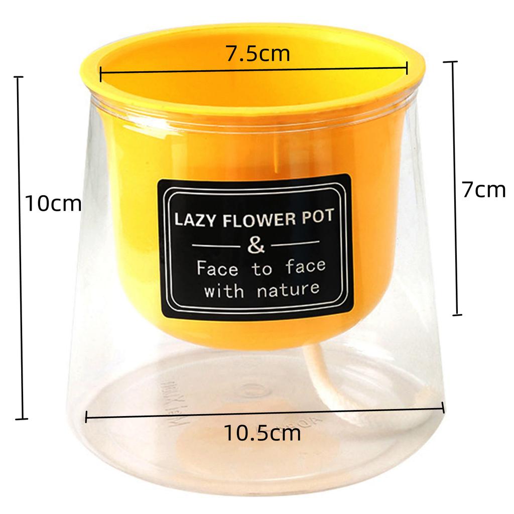 Lazy Hydroponic Flower Pot Automatic Water-Absorbing Flowerpot Transparent Plastic Self Watering Planter Office Desktop Decor