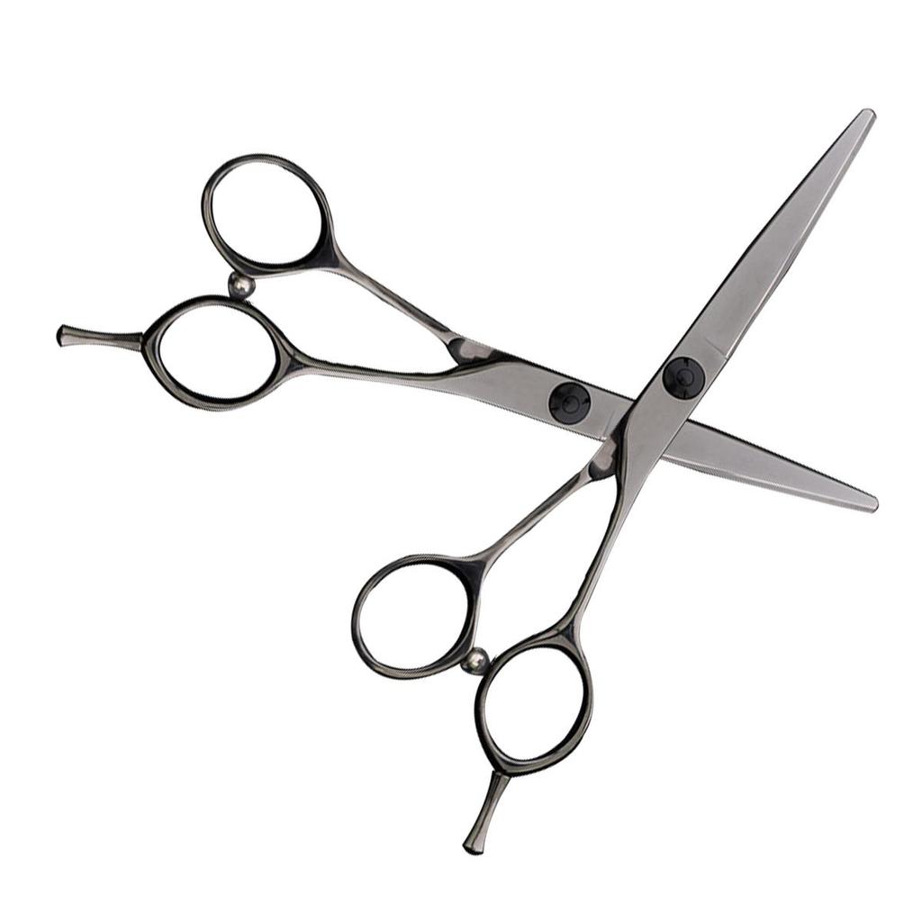 Buy Sangelar Light Steel Top Grade 5.5",6" JP440C Professional Hair