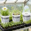 Lazyman Automatic Watering Clear Seedling Growing Box Flower Pot Observe Root Growth Easy Fill Home Office Decor Plant Container