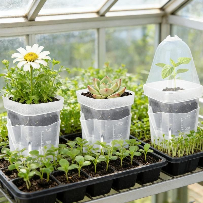 Lazyman Automatic Watering Clear Seedling Growing Box Flower Pot Observe Root Growth Easy Fill Home Office Decor Plant Container