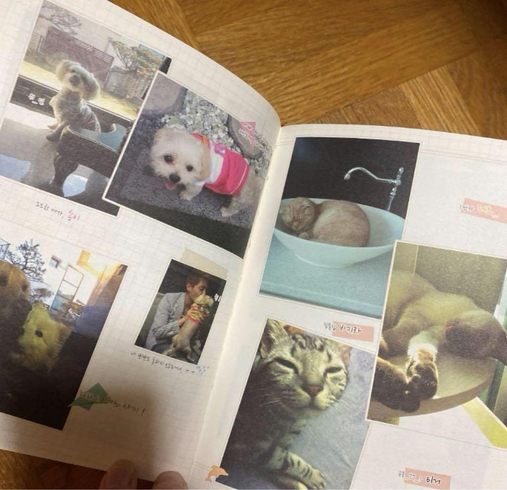 [USED] Junsu-san Various Goods