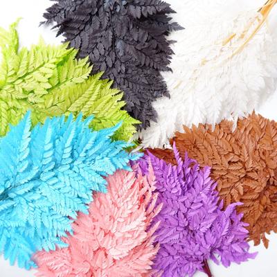 Eternal Alpine Fern Golden Alpine Fern Leaf Immortal Flower Dried Flower Bouquet Wedding Decoration With Grass