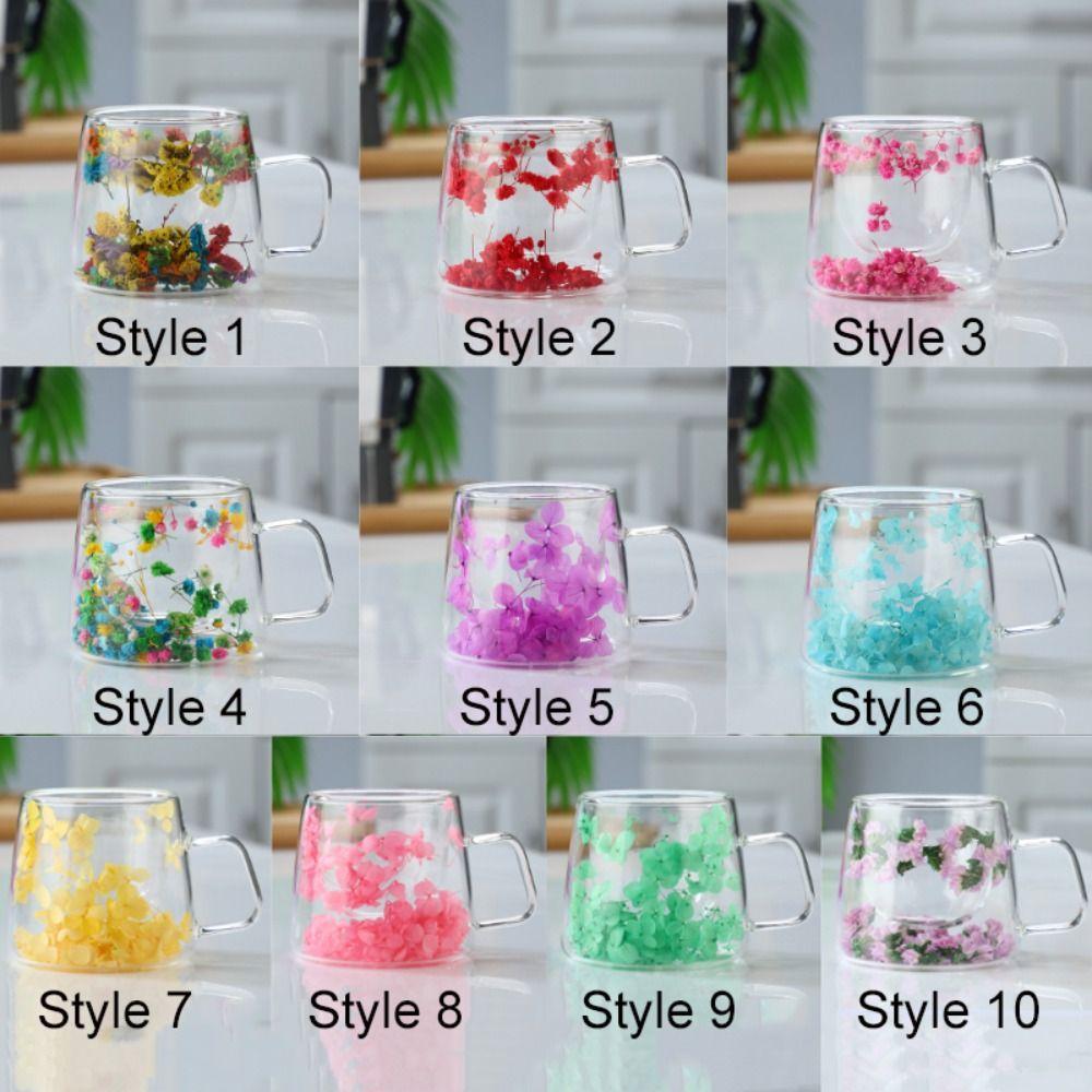Double Insulated Dried Flower Glass Cup Coffee Tea Cup Clear Glass Cup Double Wall Mug  Household