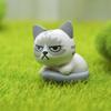 Modish 6pcs Set Kawaii Zakka Cute Unhappy Cat Doll Adorable Mini Cartoon Figures