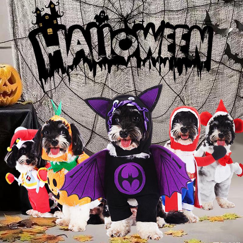 Christmas Pet Costume: Bat, Pirate, Clown, Delivery Outfit for Dogs