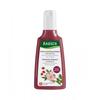 Rausch Wildrose Farbschutz Shampoo 200ml