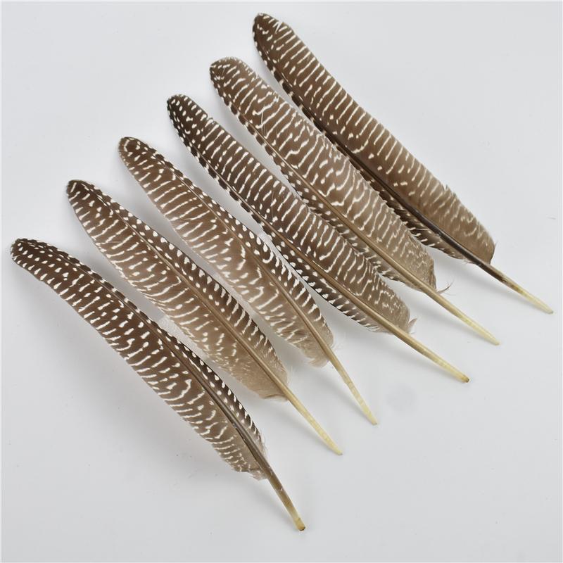 10Pcs/Lot 15-20cm Pheasant Feathers for Crafts Polka Dot Guinea Hen Flank Pearl Feather Headdress DIY Wedding Party Decoration