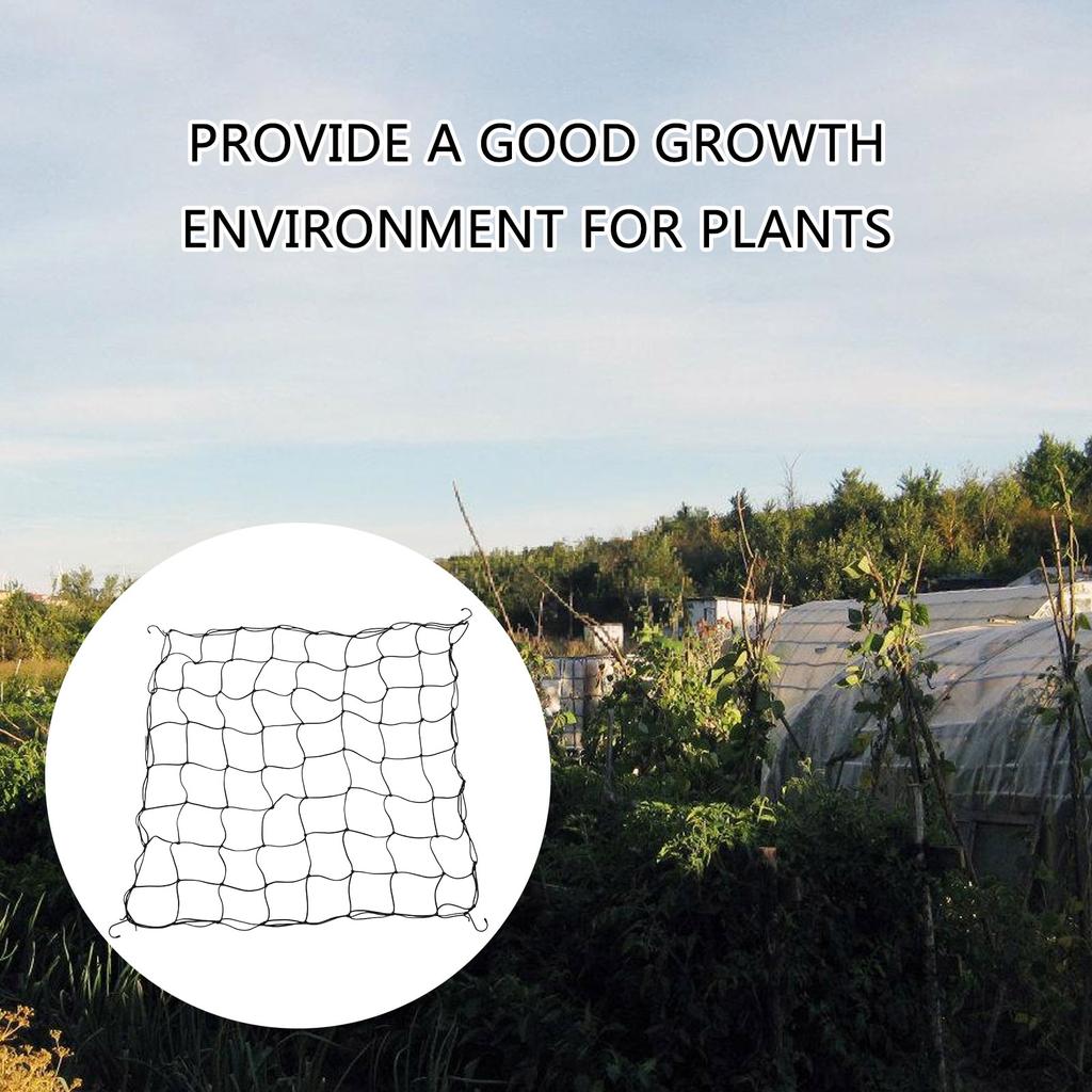 Grow Tent Plant Net Scrog Net 80x80cm Hydroponic Support Plant Net Grid Growth Net Elastic Grid for Gardening Garden
