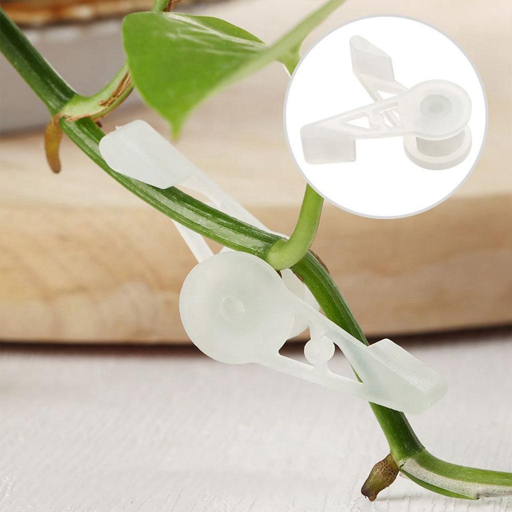 90 Degree Plant Bender Shaped Potted Clip for Branch Low Stress Training Control 90 Degree Plant Bender Shaped Potted Clip for Branch Low Stress Training Control