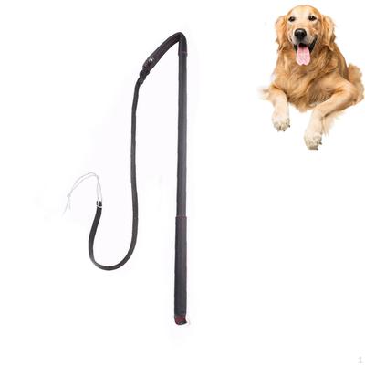 Dog Training: Obedience Training, Exercise, Discipline, Behavior Training with The - Strum
