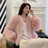 Imitation Fox Fur Imitation Coat Women's Short Autumn and Winter New Imitation Mink Fur Light