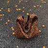 Autumn and Winter Armpit Bag Large-capacity Bag Women's 2025 New Leopard Print Shoulder Bag Simple Premium Tote Bag
