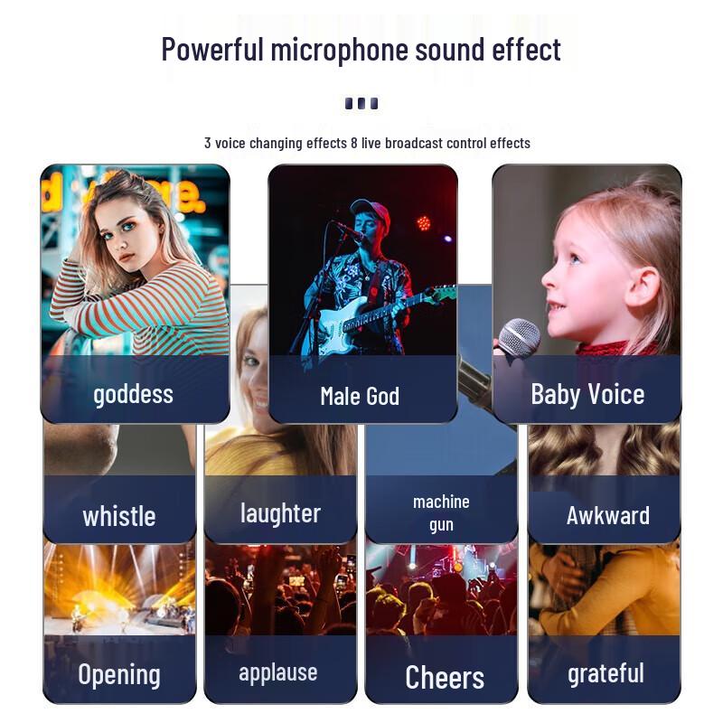 Soaiy T56 Portable Karaoke Speaker