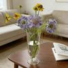 Γυάλινο Βάζο Λουλουδιών Ανθεκτικό σε Υψηλές Θερμοκρασίες Διαφανή Διακοσμητικά Μπουκάλια Διακόσμηση Σπιτιού