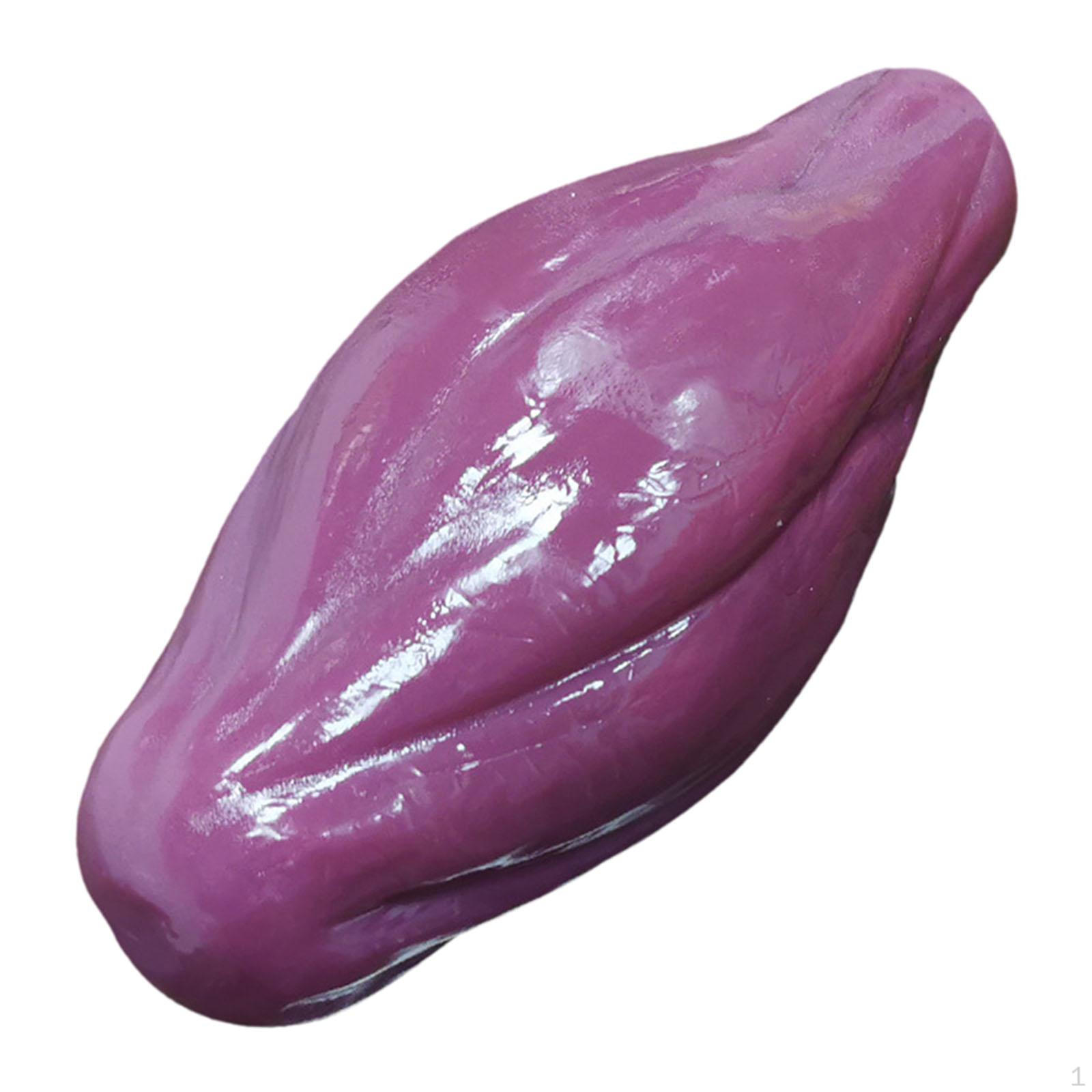 

Muscle Model Anatomic Tissue Models Practical for Nutritionists Patient Education