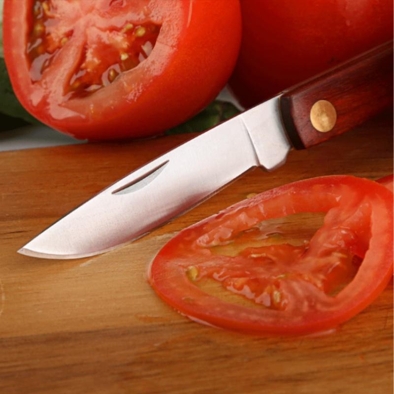 Stainless Steel Fruit Knife Portable Folding Knife with Wooden Handle Household Fruit Folding Peeler Kitchen Tool Mini