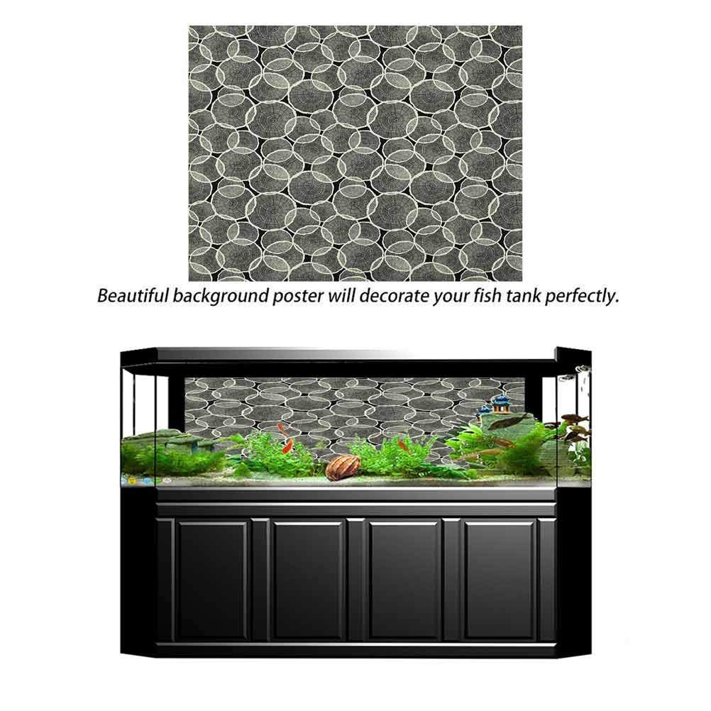 Osaka Angelgerät Broad Aori Upgrade BRAU1550 Angelrute Angelrute für Yaen (OGK) 1.5-500 [Inselfischen]