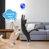HKUKY Light Up Cat Balls, Led Motion Activated Cat Ball Interactive Toys Exercise Ball For Cat Dog