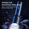 Philips Flashlight SFL6166