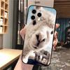 Alpaca Llamas Phone Case For iphone 17 Pro Max Air 16 15 14 13 Pro Max 15 16 Pro 15Plus