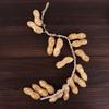 Decoration Room  Decorative Restaurant String Pendant Fake Vegetables Photography Props Artificial Vegetables Simulation Food