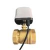 ZYSDR Electric Two-Way Brass Valve