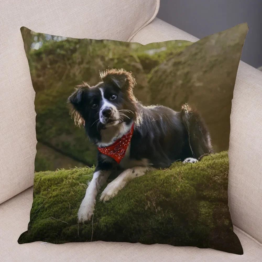 Cute Scottish Border Collie Pillowcase Dog Print Decor Pet Animal Cushion Cover Sofa
