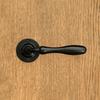 BRISTOL Door Handle with Rosette