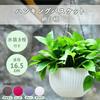 Dotcom Prime Hanging Basket Hanging Plant Pot Planter White Mesh Pattern 1 Piece