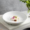 ZISIZ Frosted Dinner Plate
