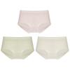 Etam Women's Seamless Combed Cotton Mid-Rise Briefs (3-Pack)