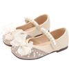 Girls' Shoes Princess Shoes Spring and Autumn New Children's Leather Shoes Crystal Butterfly Flower Shoes Baby Single Shoes