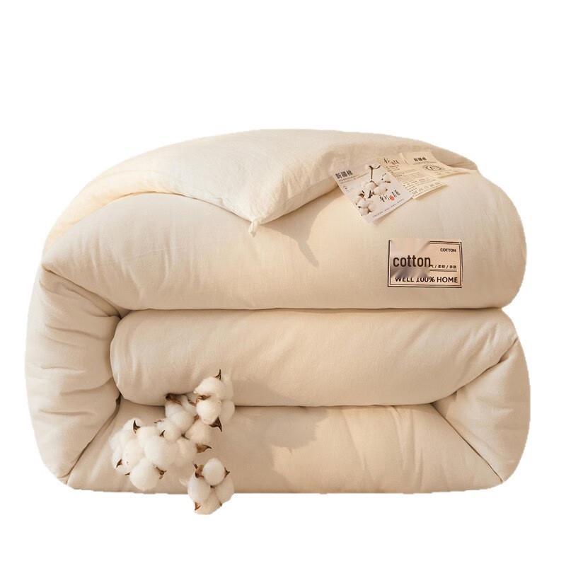 LISM Xinjiang Cotton Quilt