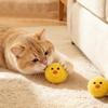 Kedi – Kedi Oyuncakları