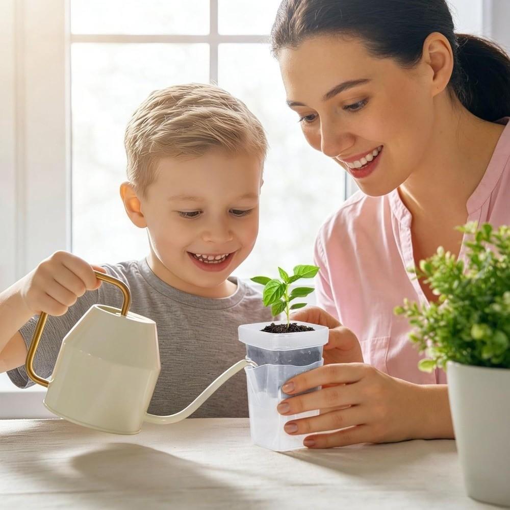 12 Set Dual Layers Self Watering Pots Clear Plastic Seedling Plant Pot Plant Propagation