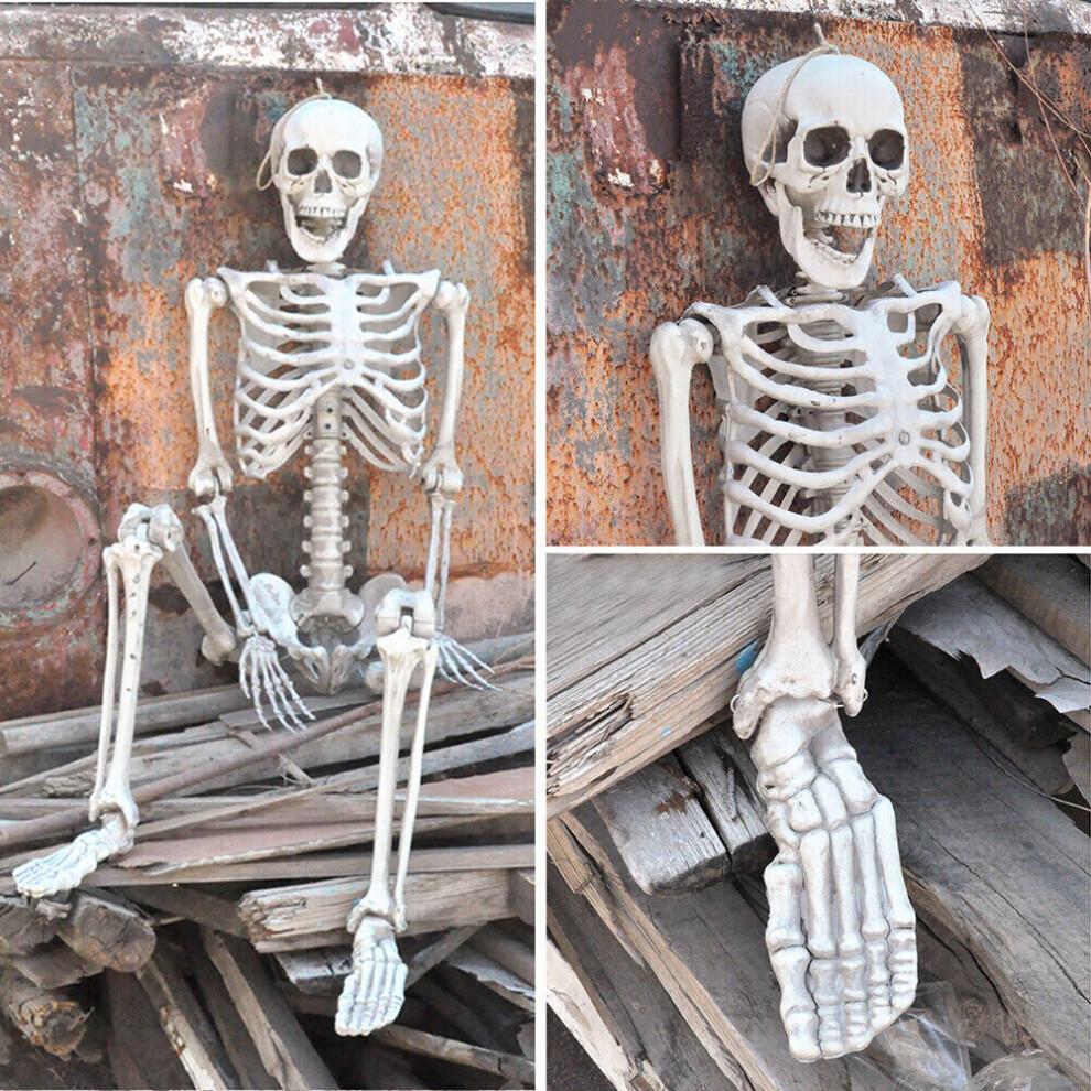 170cm Riesiges Lebensgroßes Menschliches Skelettmodell Horror Knochen Beweglich Halloween Dekoration